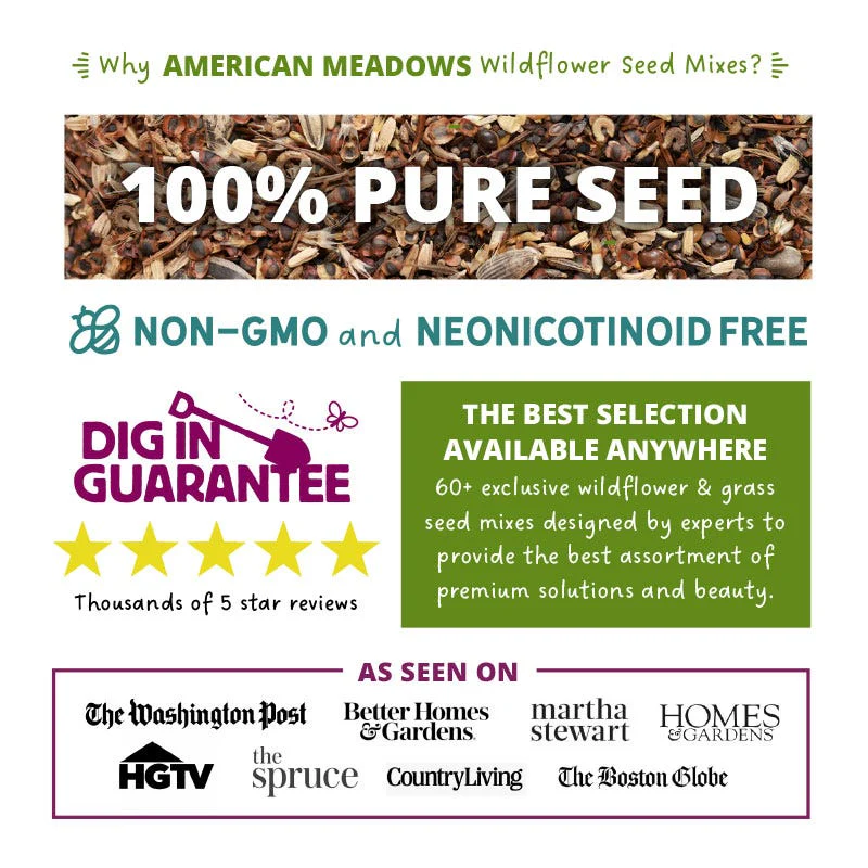 Northeast Select Wildflower Seed Mix - Image 6